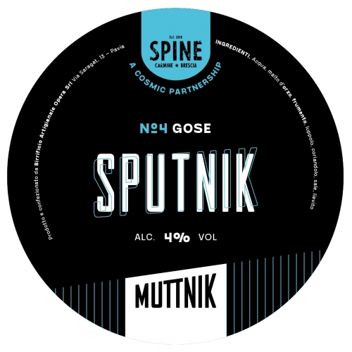 Sputnik 04